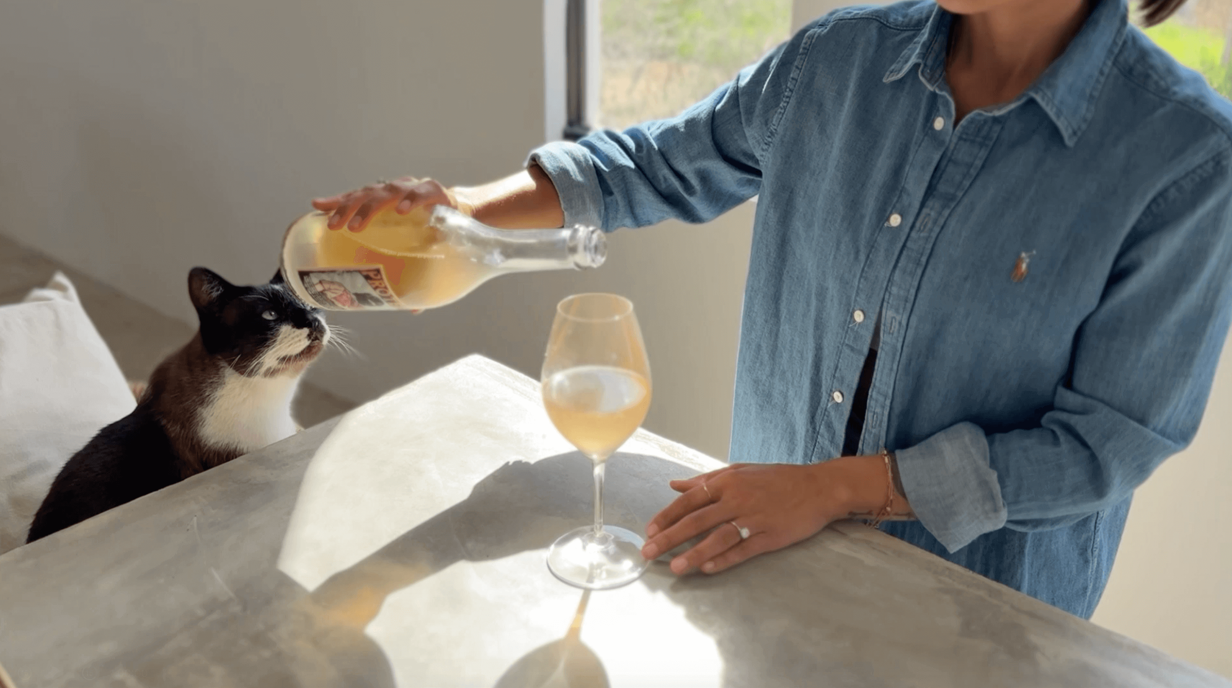 Screenshot 2026-02-10 at 9.25.04 AM.png