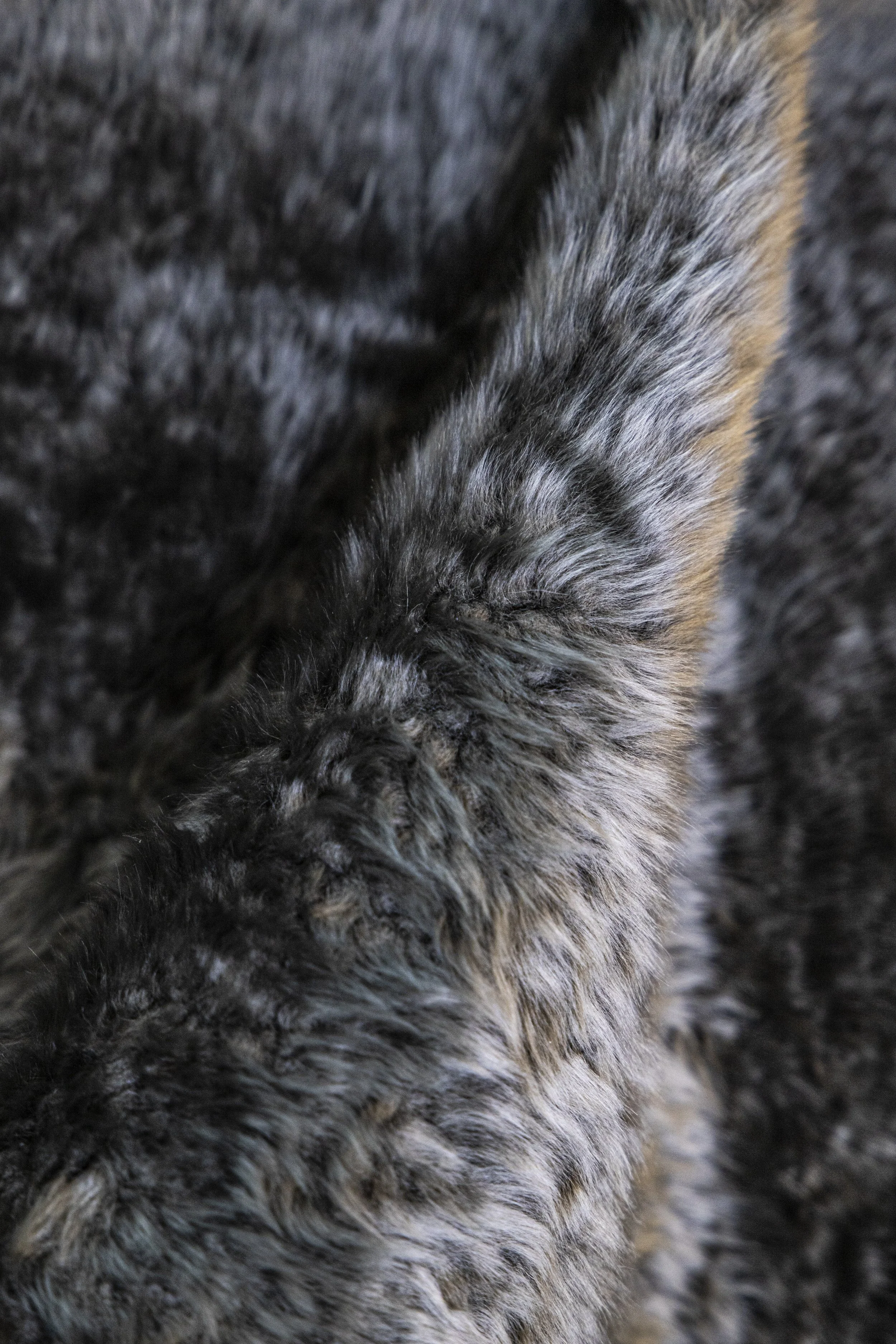 CURLY LAMBSKIN SHEARLING