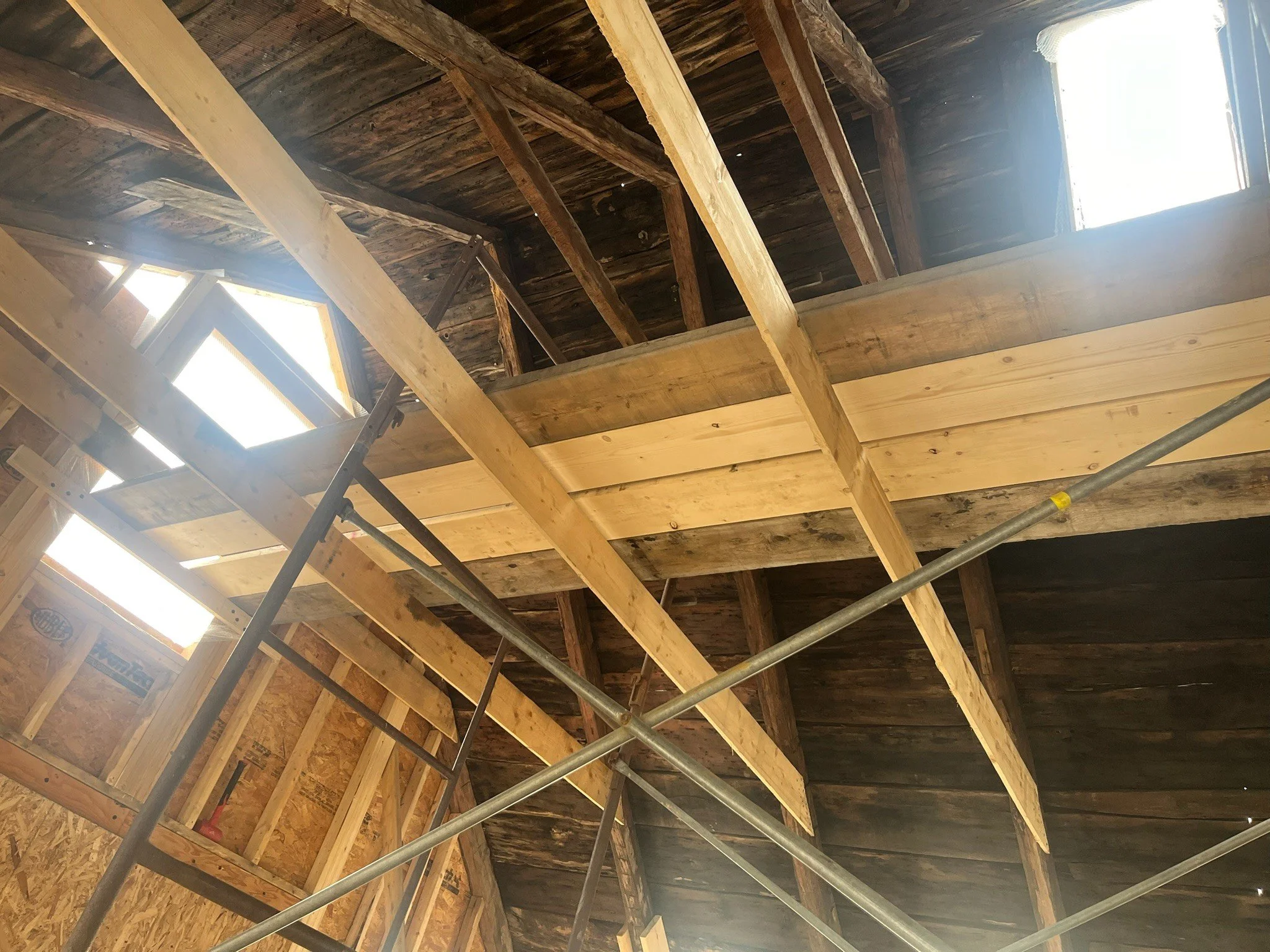 IMG_3139.jpg
