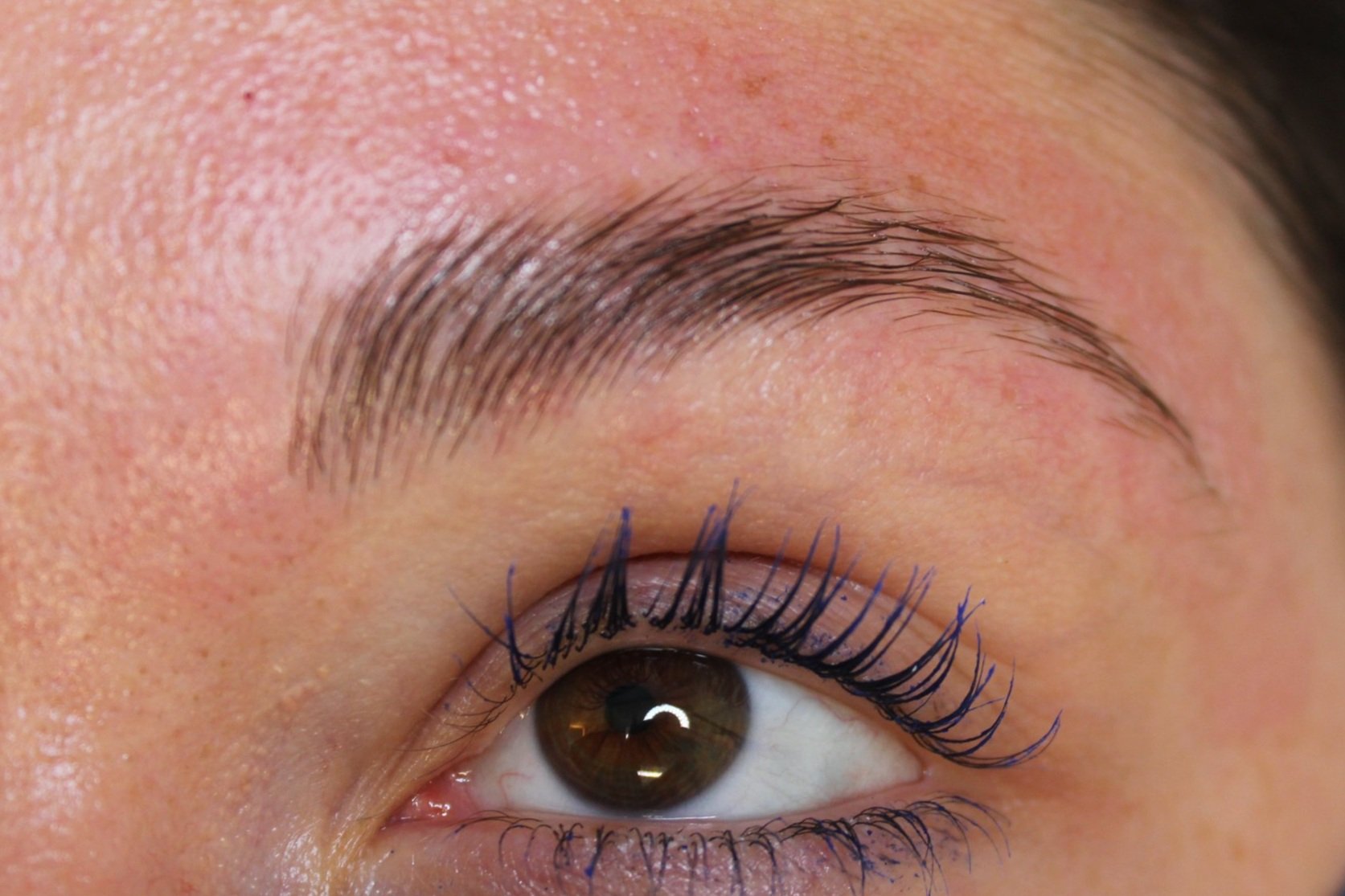 Eyebrow Lamination