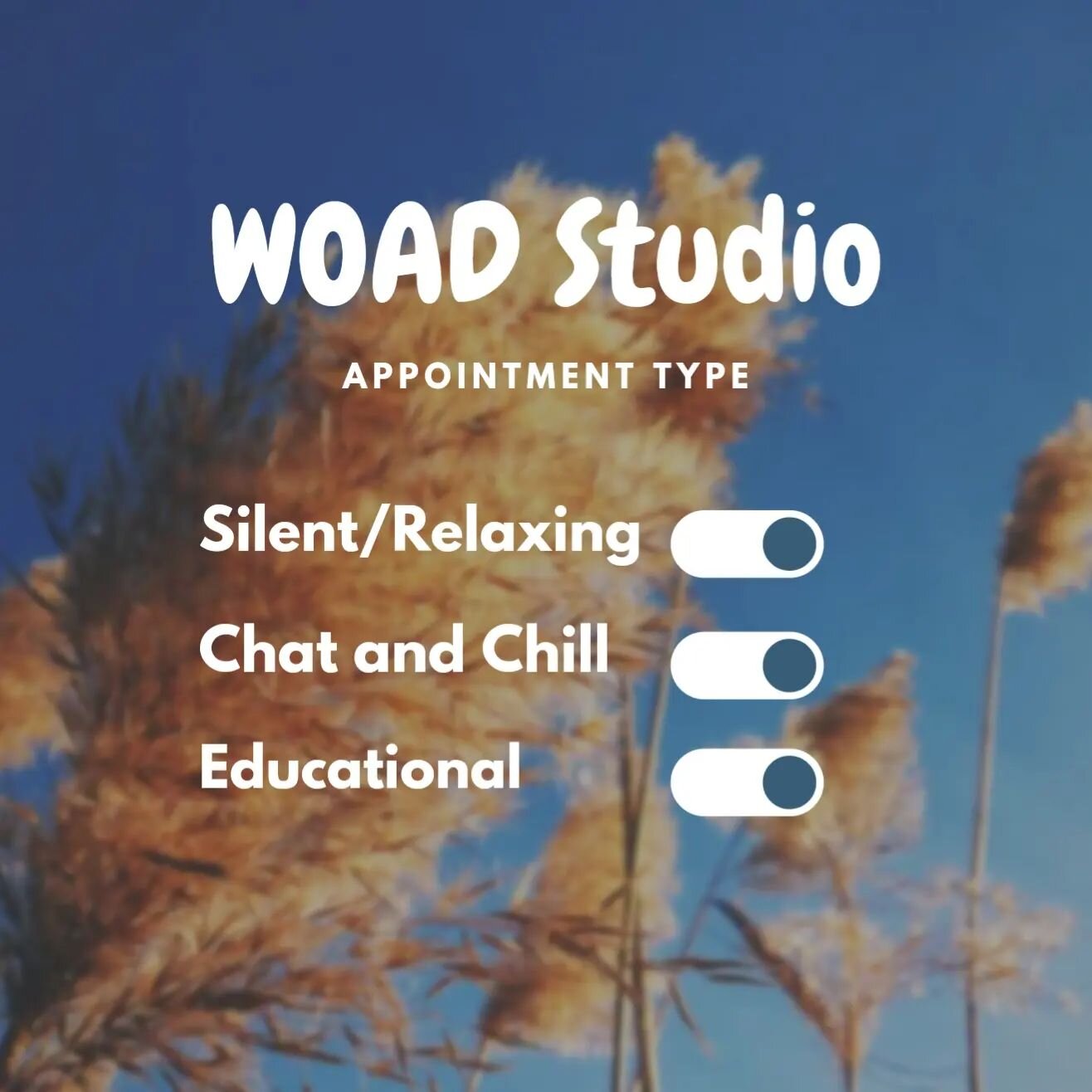 Did you know that you can select what type of appointment you want, before even coming in?

You can pick one, or mix and match them to suit your mood 💆&zwj;♀️🗨️👩&zwj;🏫

Your visit will always be about you and your needs 🥰