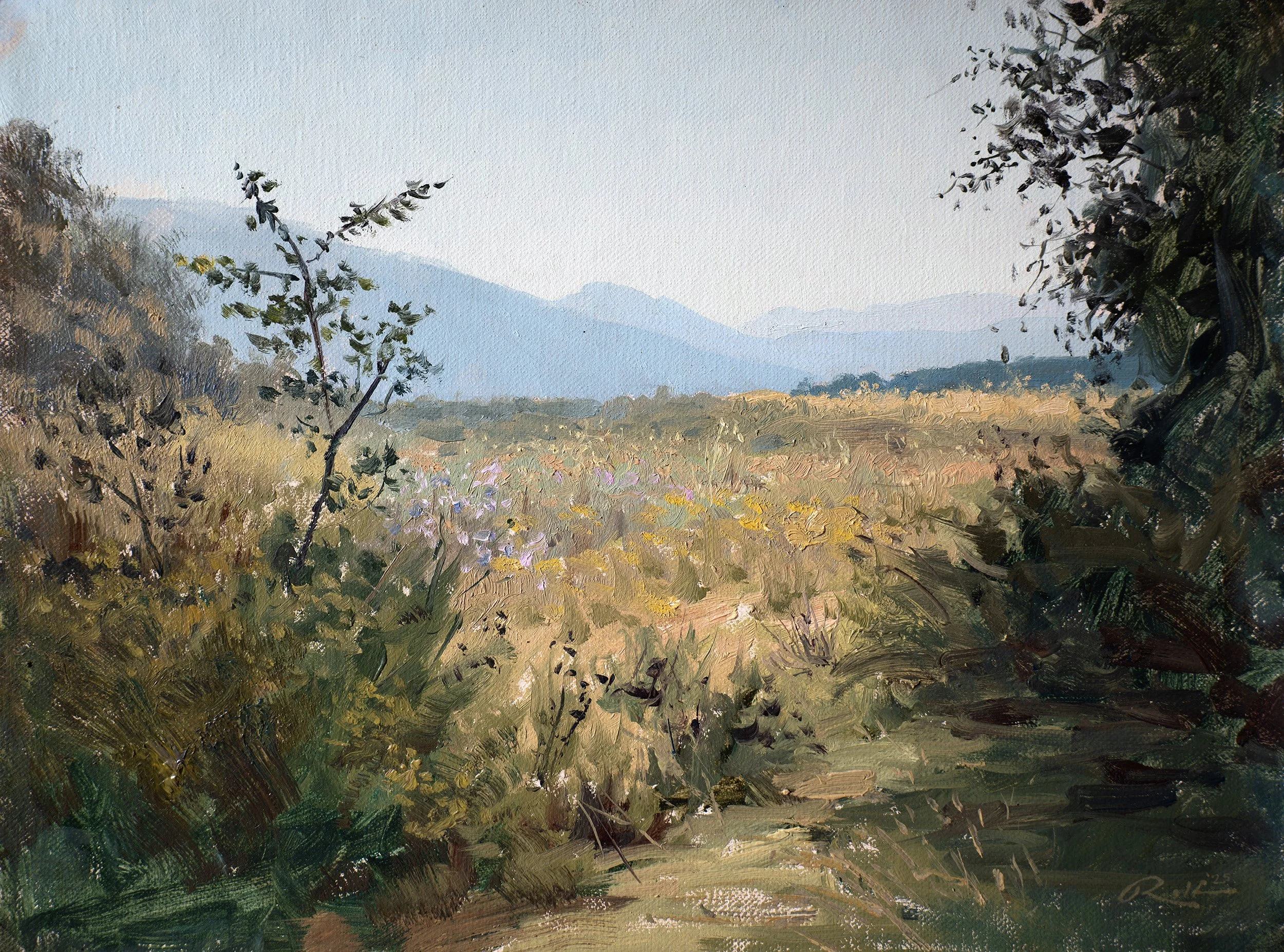 Hills of Cilento.jpg