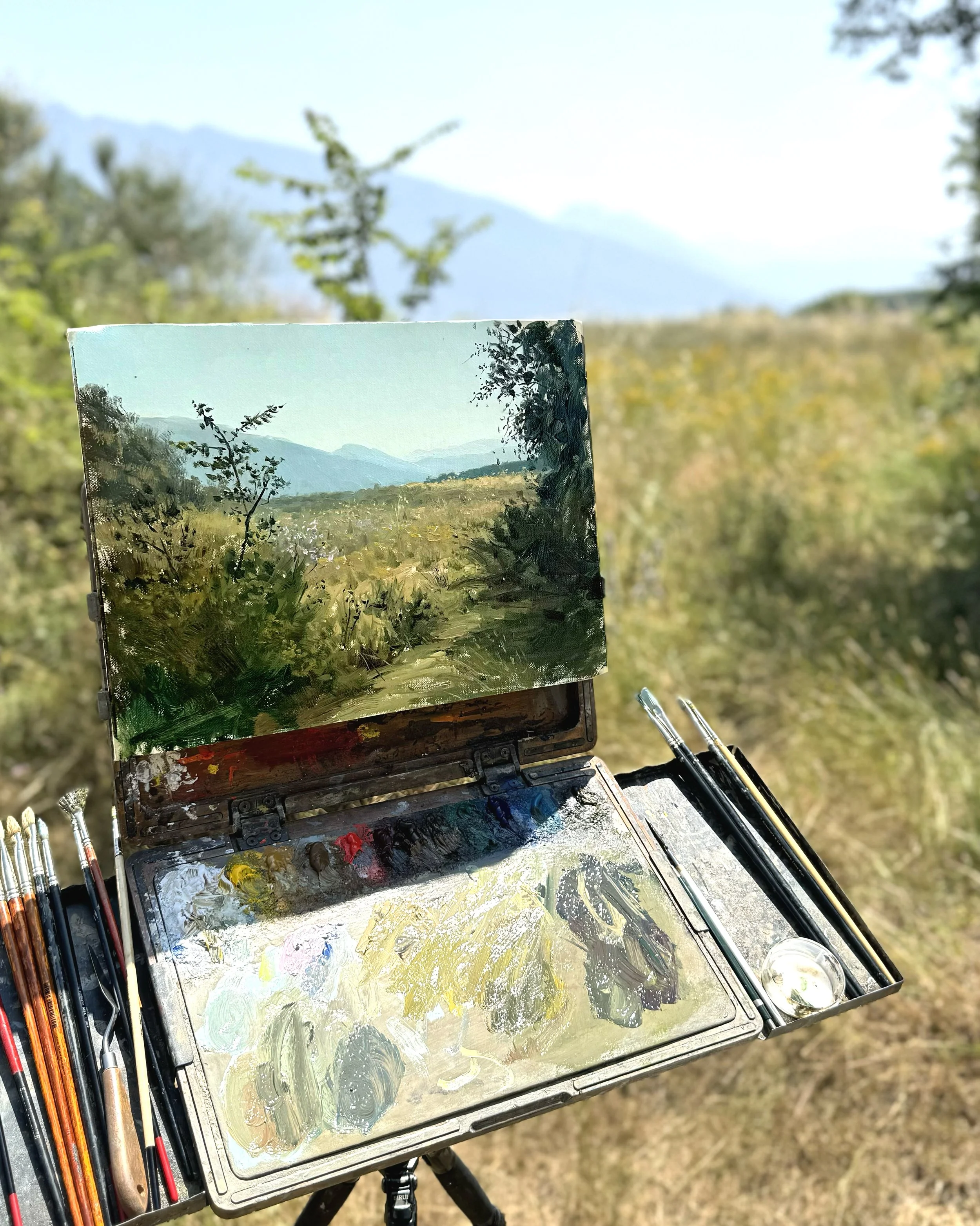 Dank Field On Locayshh.jpg