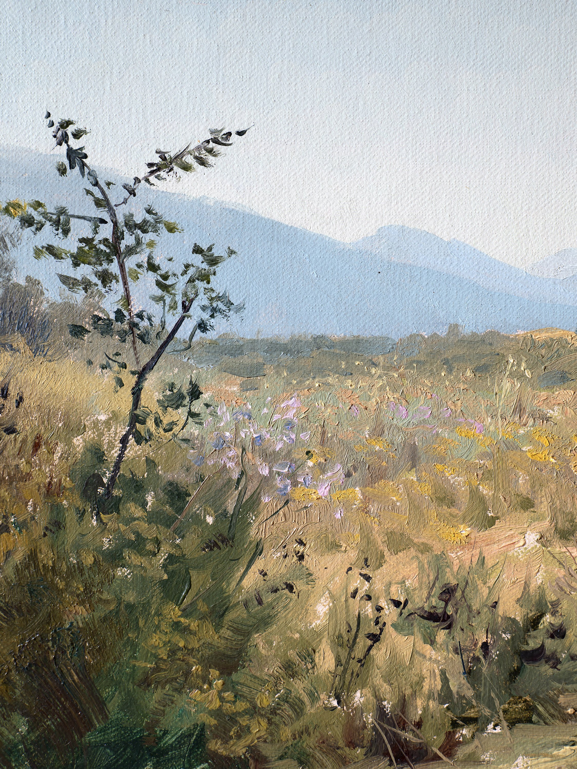 Hills of Cilento.jpg