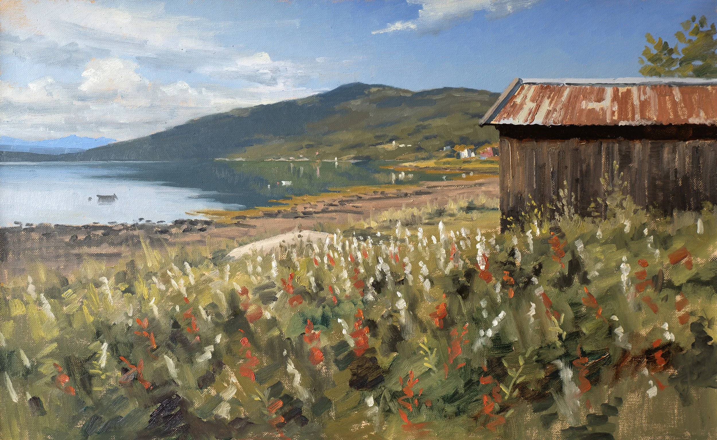 Sommerdag ved Langstranda Final copy.jpg