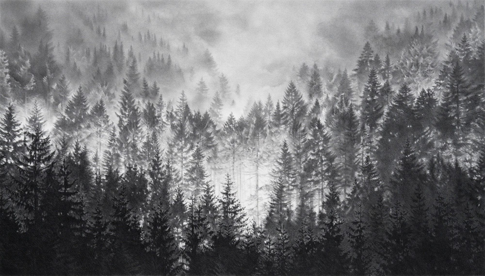 Blaze, 2018
graphite on paper  29 x 45"