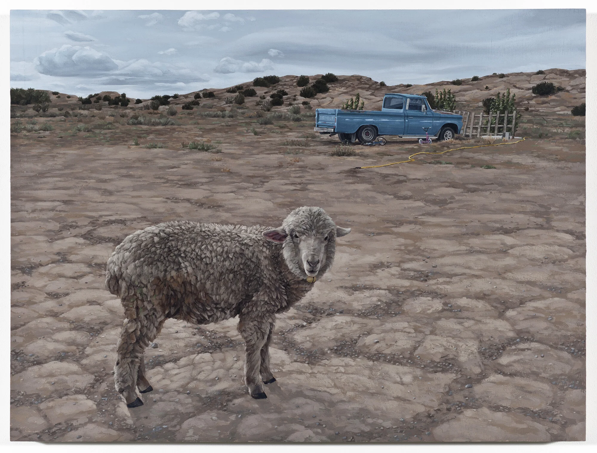 The Reluctant Subject, 2011
oil on panel   18 x 24"