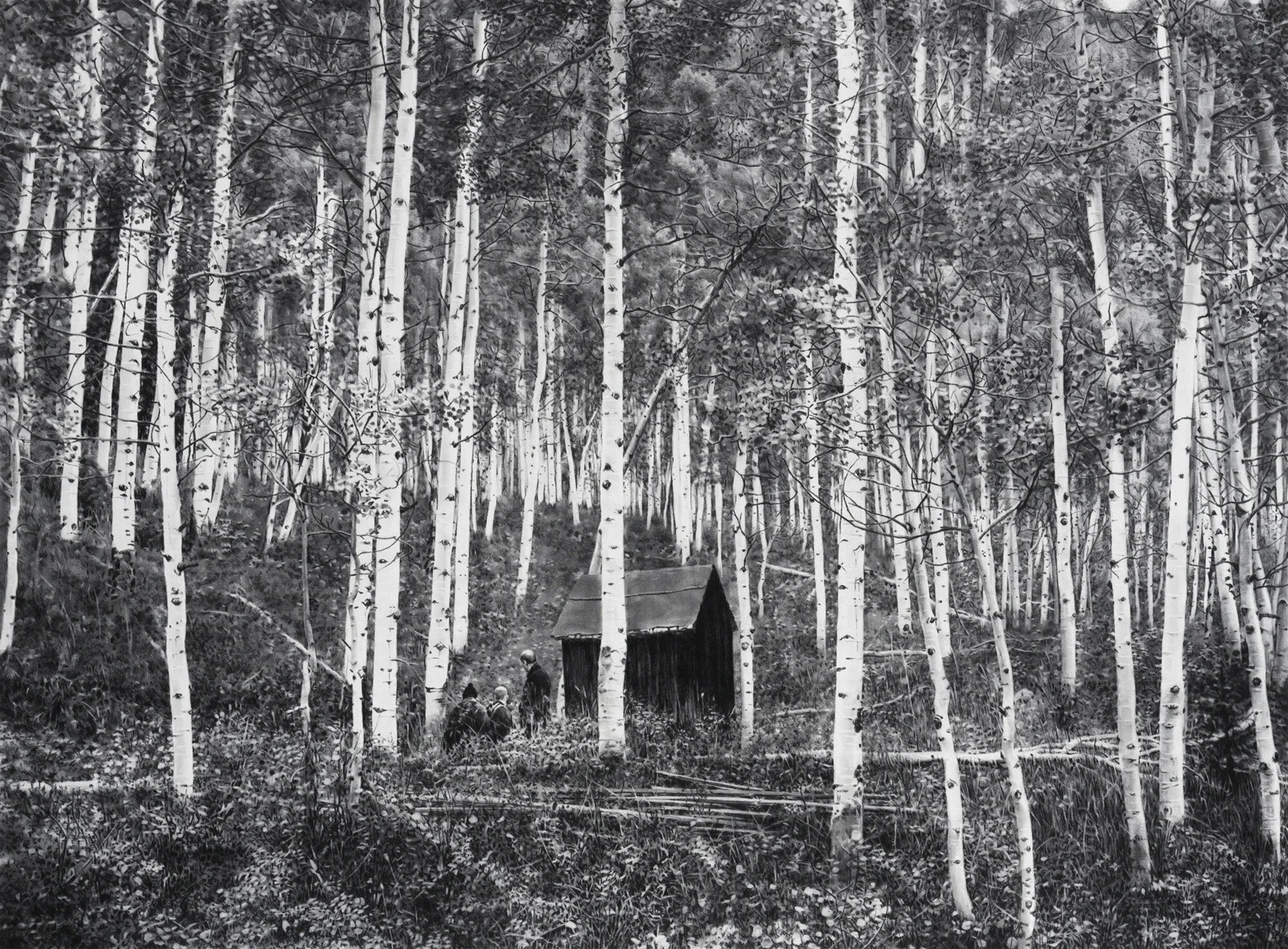 Quake, 2018
graphite on paper   36 x 45.5"