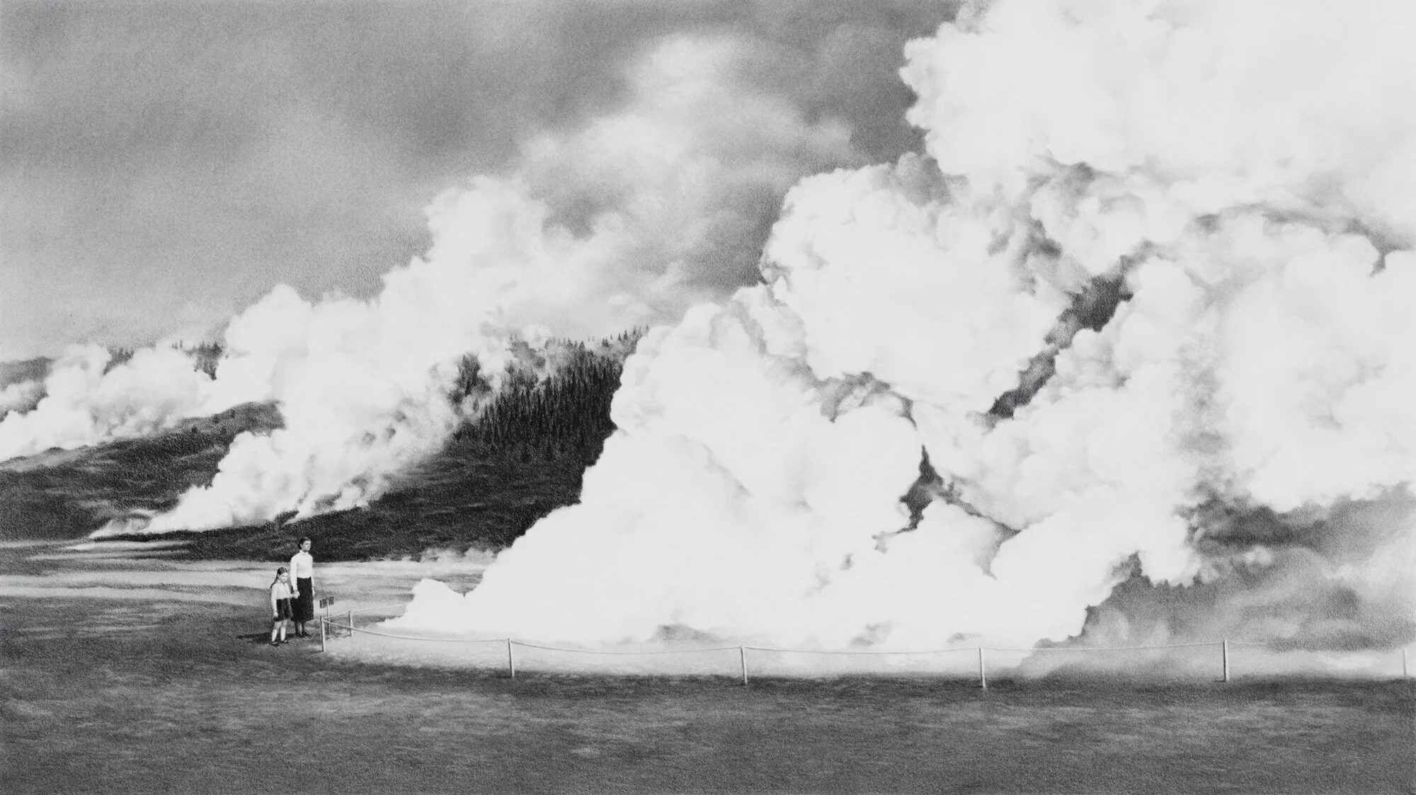 Plumes, 2018
graphite on paper   23 x 35"