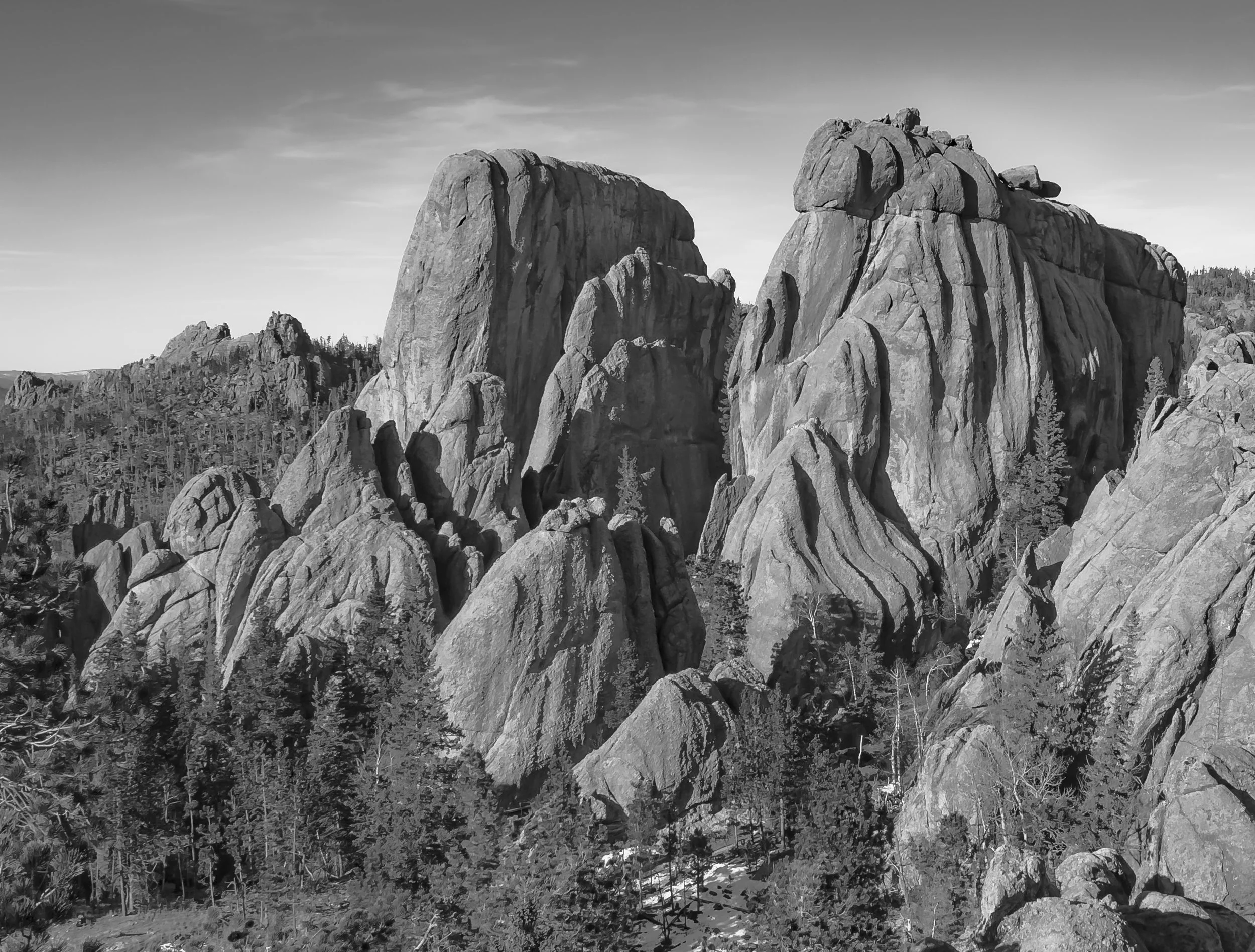 Custer State Park, The Black Hills, South Dakota.