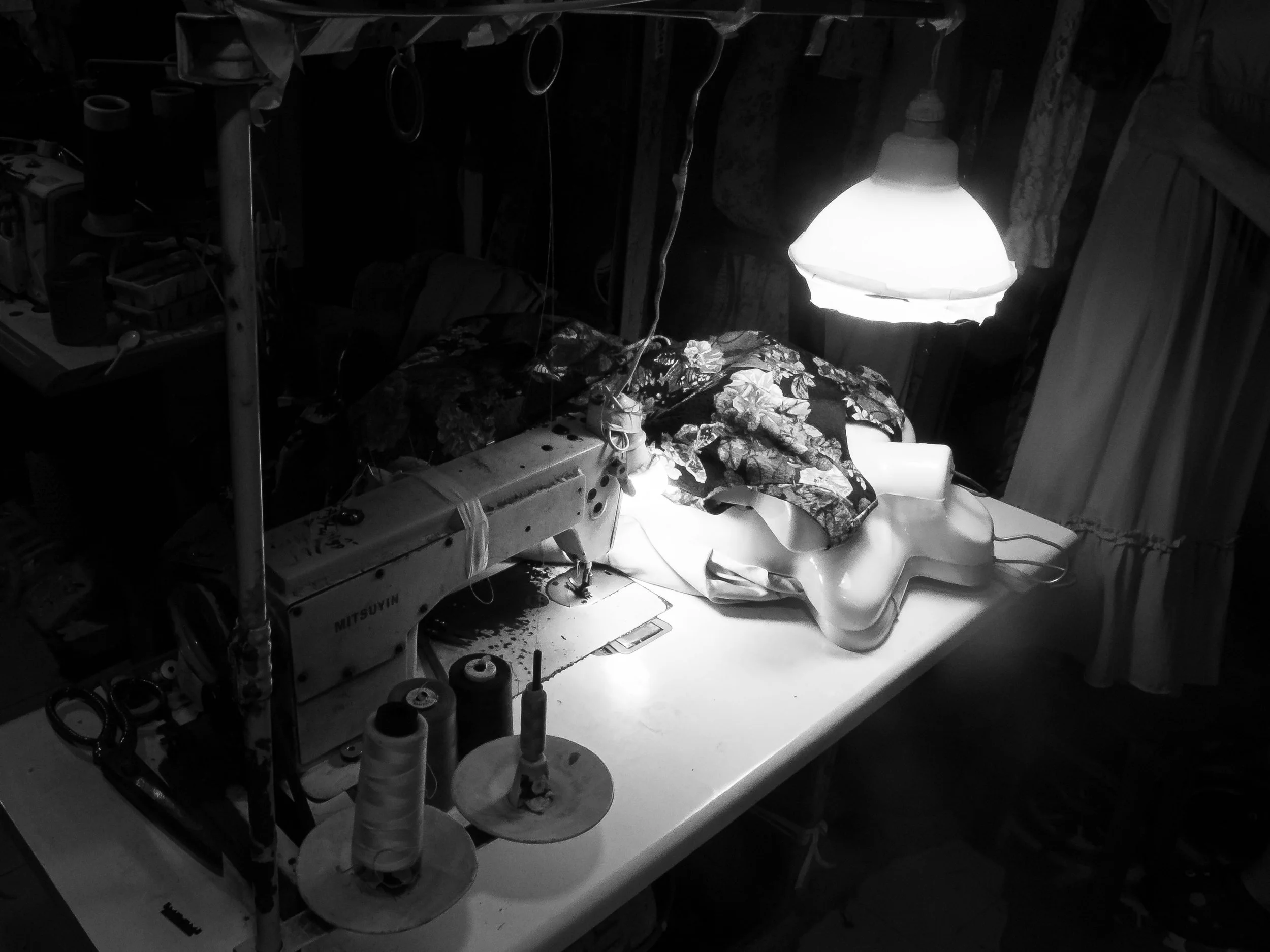 _1011606.jpg