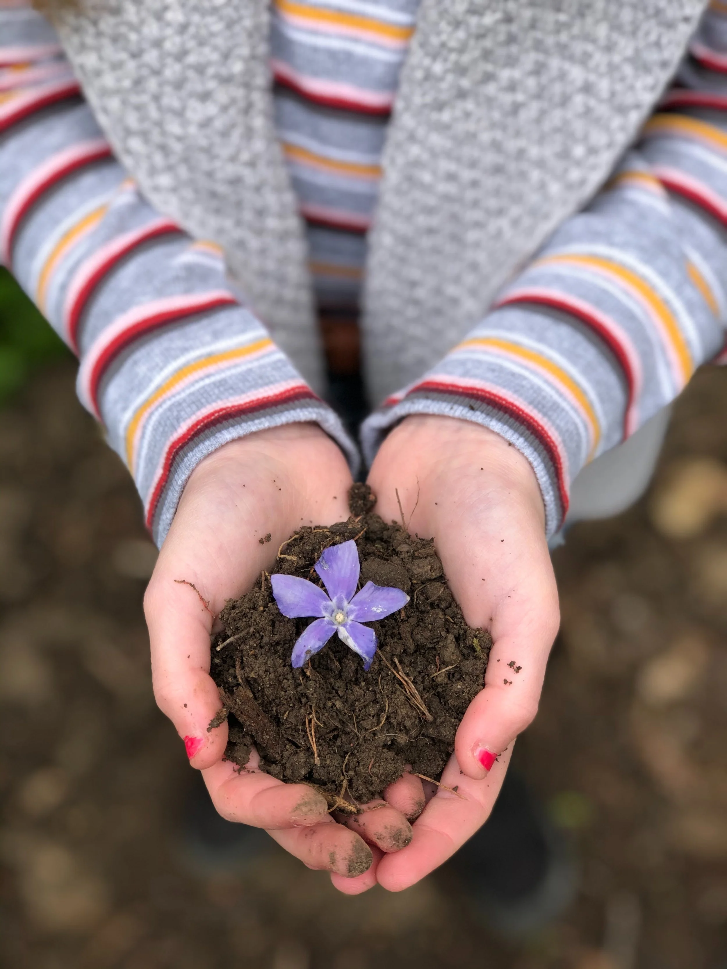 Dig and Bloom…