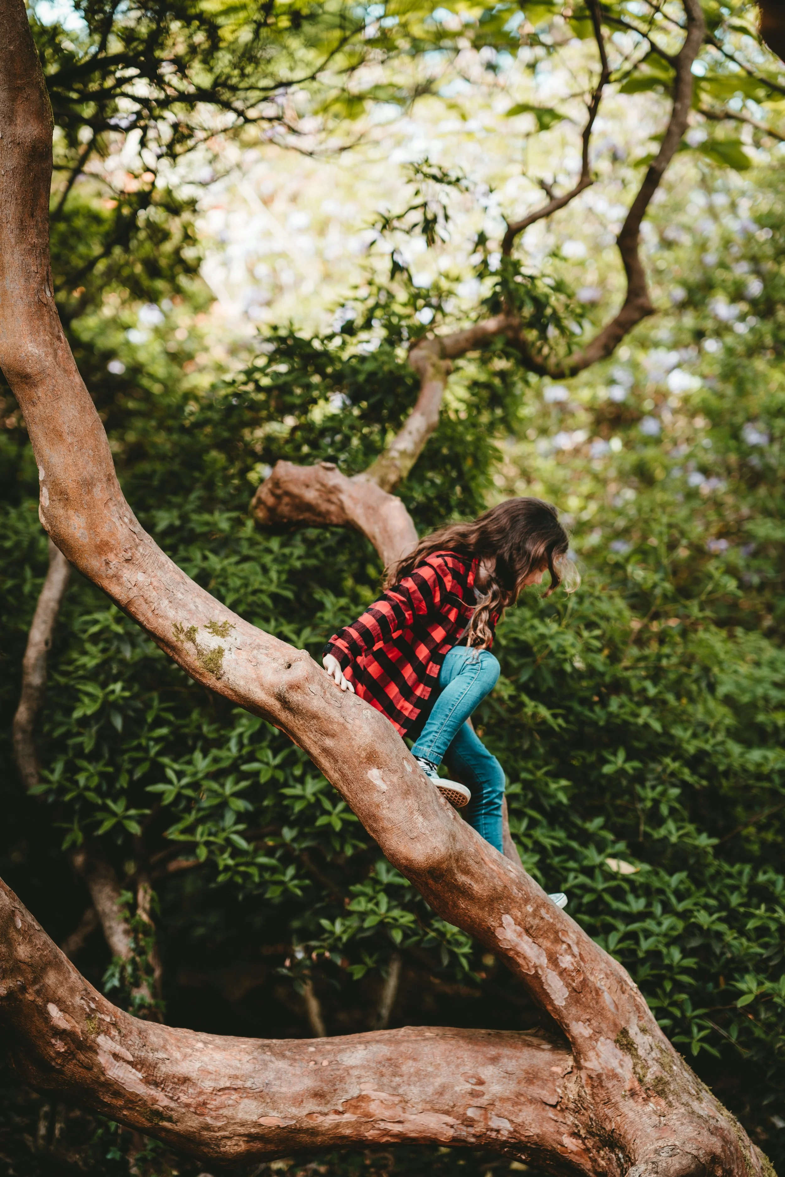Desperately seeking Jesus…