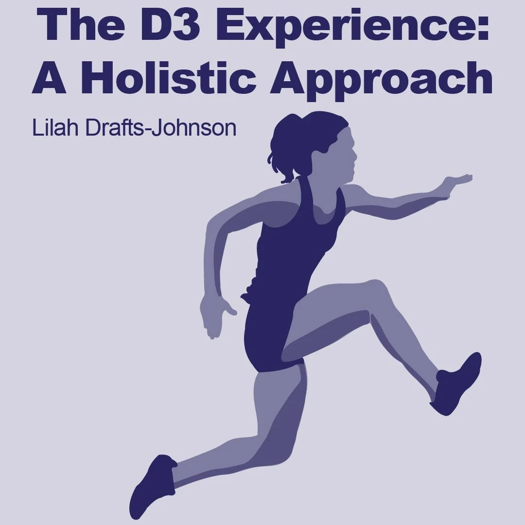 The D3 Experience: A Holistic Approach