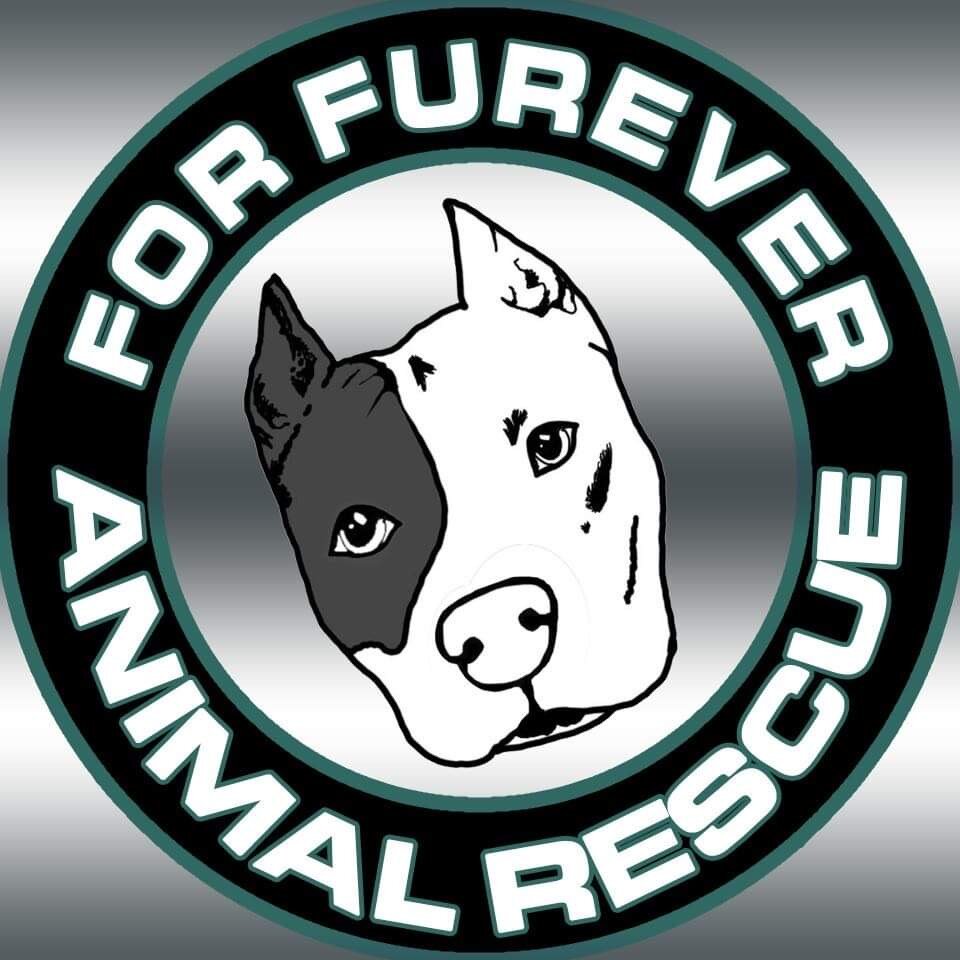 DRINK FOR DOGS - For Furever Animal Rescue — Unleashed Hounds and Hops