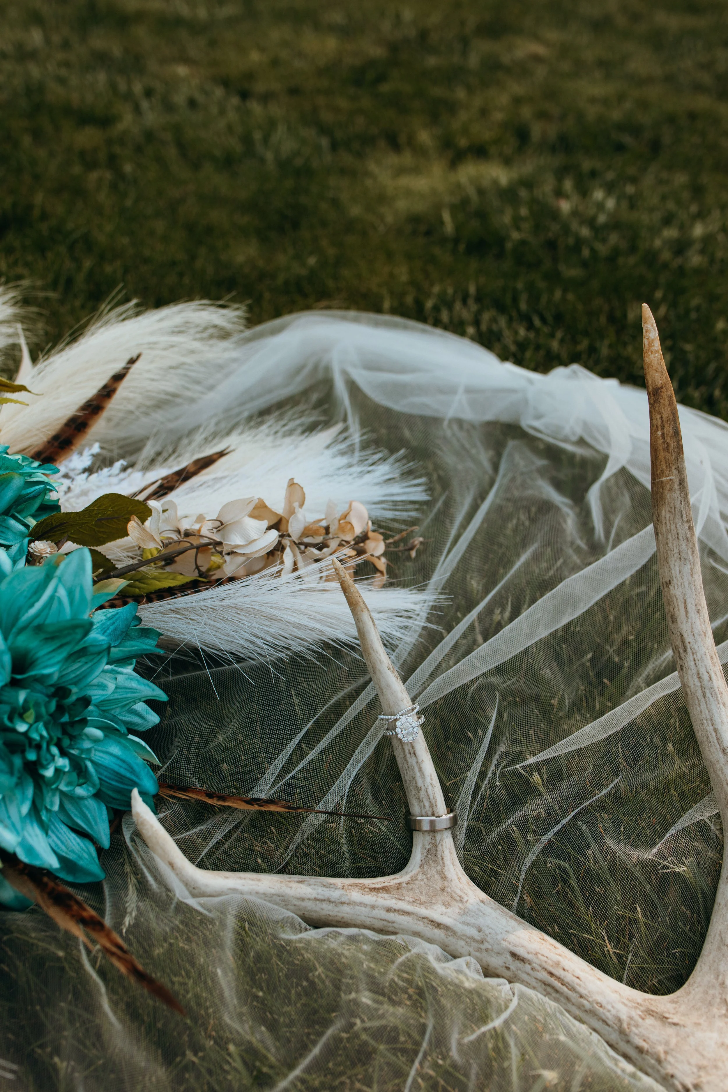102A4594.jpeg