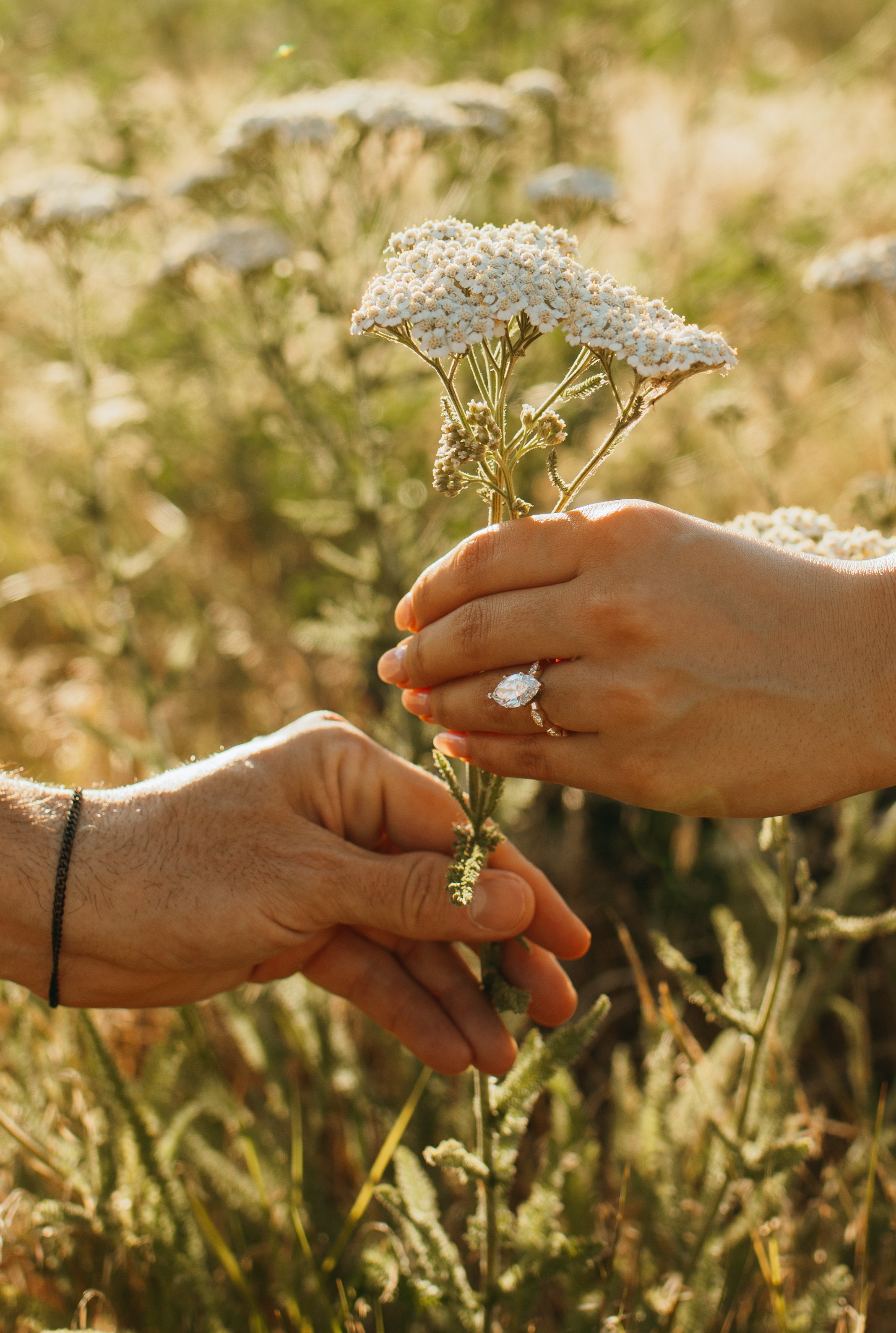 Couples + Proposal’s