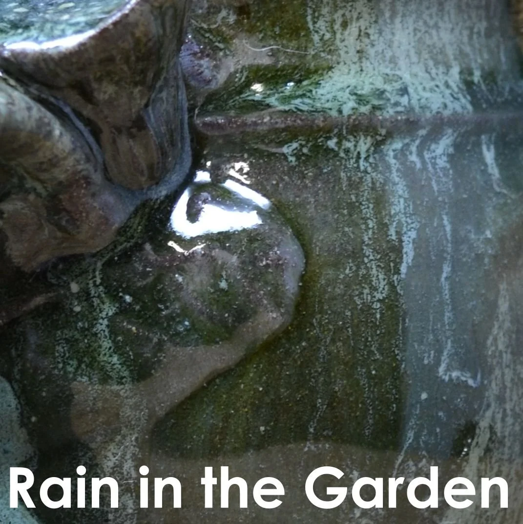 Rain in the Garden.jpg