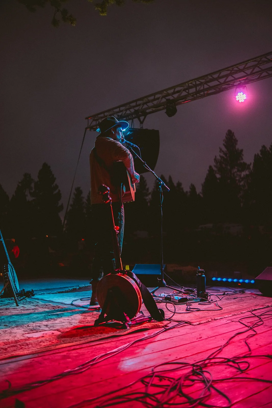 A musician performing on an outdoor stage at night, illuminated by pink and blue stage lights, with trees in the background.