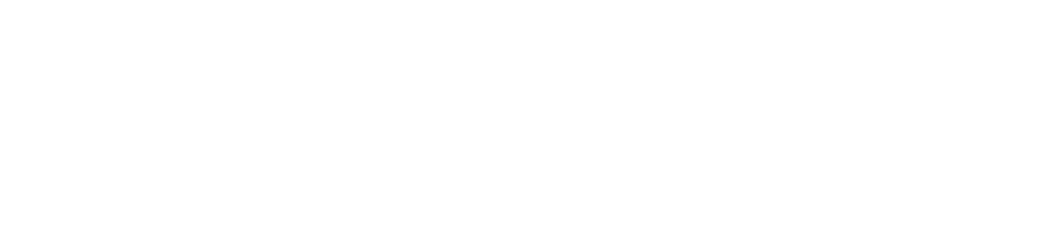 Beyond Capital Ventures