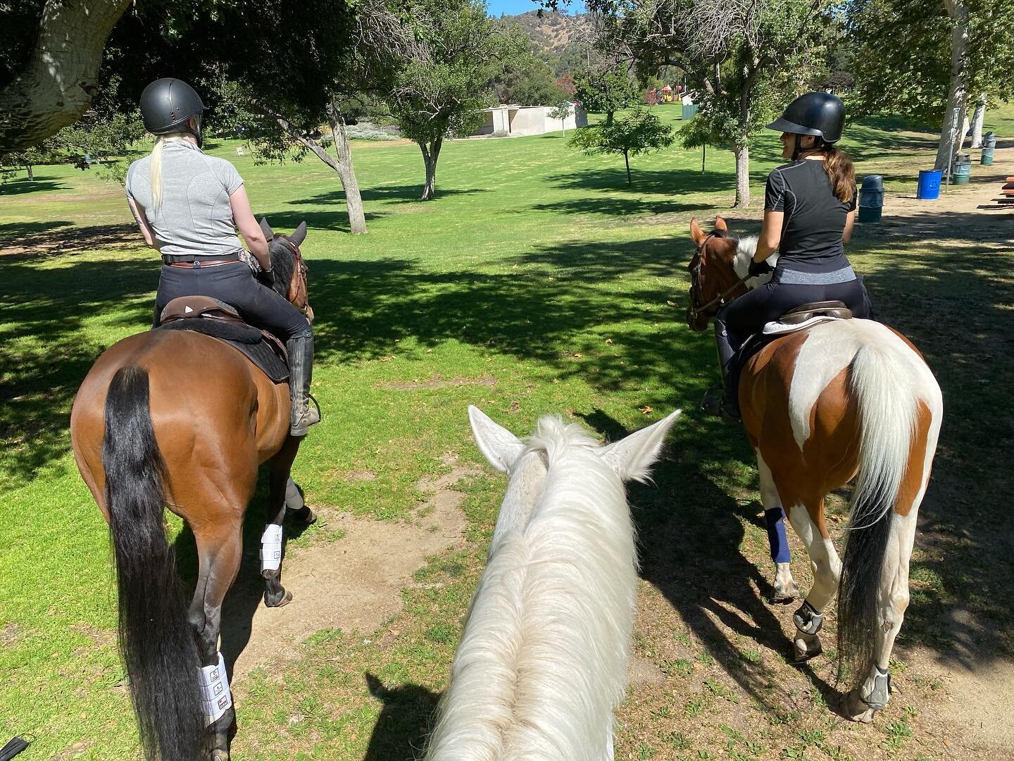 We are back on the trail!! Fortunately many people found solace in Griffith Park during Covid, but due to the commotion (and fear of injury) we decided to take the year off. It feels good to be back and let the horses see all the sights and sounds ou