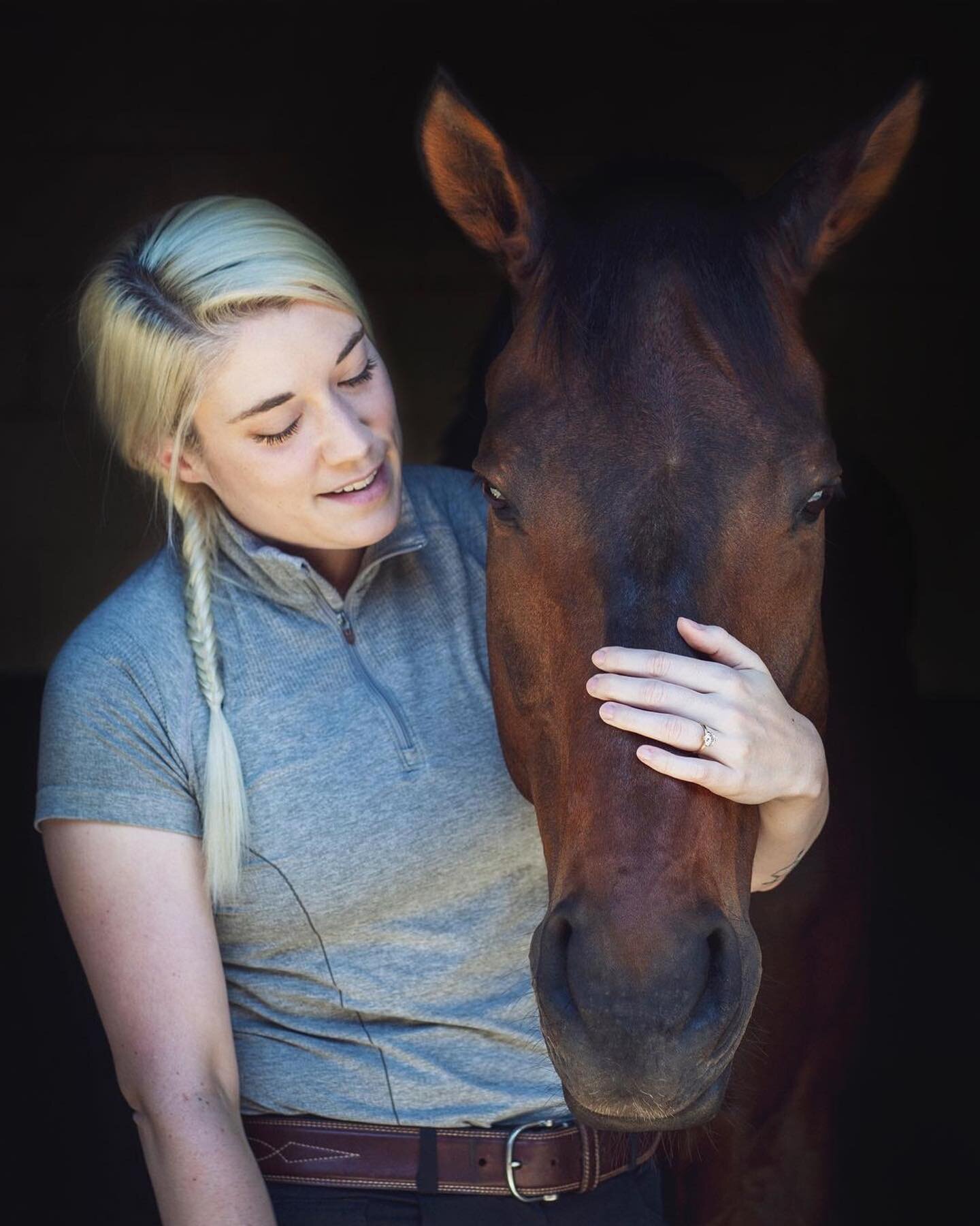 Congratulations from all of us at Novak Equestrian to the wonderful human parents of King&rsquo;s Landing, @nikkilu21 &amp; @joey_mireles 🥂🥳&hearts;️

#Repost @kingslanding_equestrian
・・・
Some exciting news, friends&hellip; I&rsquo;m engaged! 💍

J