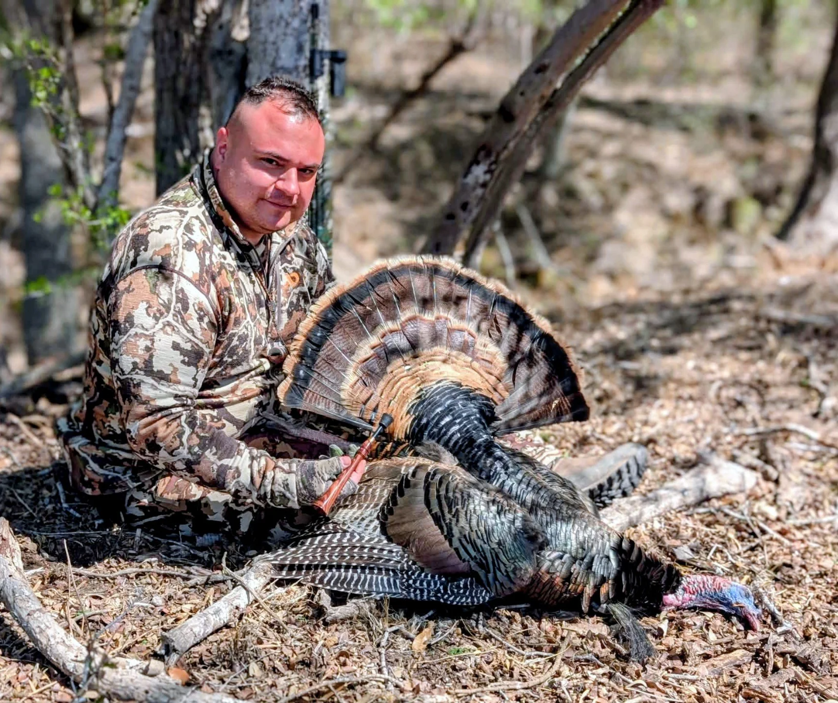 Kingwood Trumpet - 2026