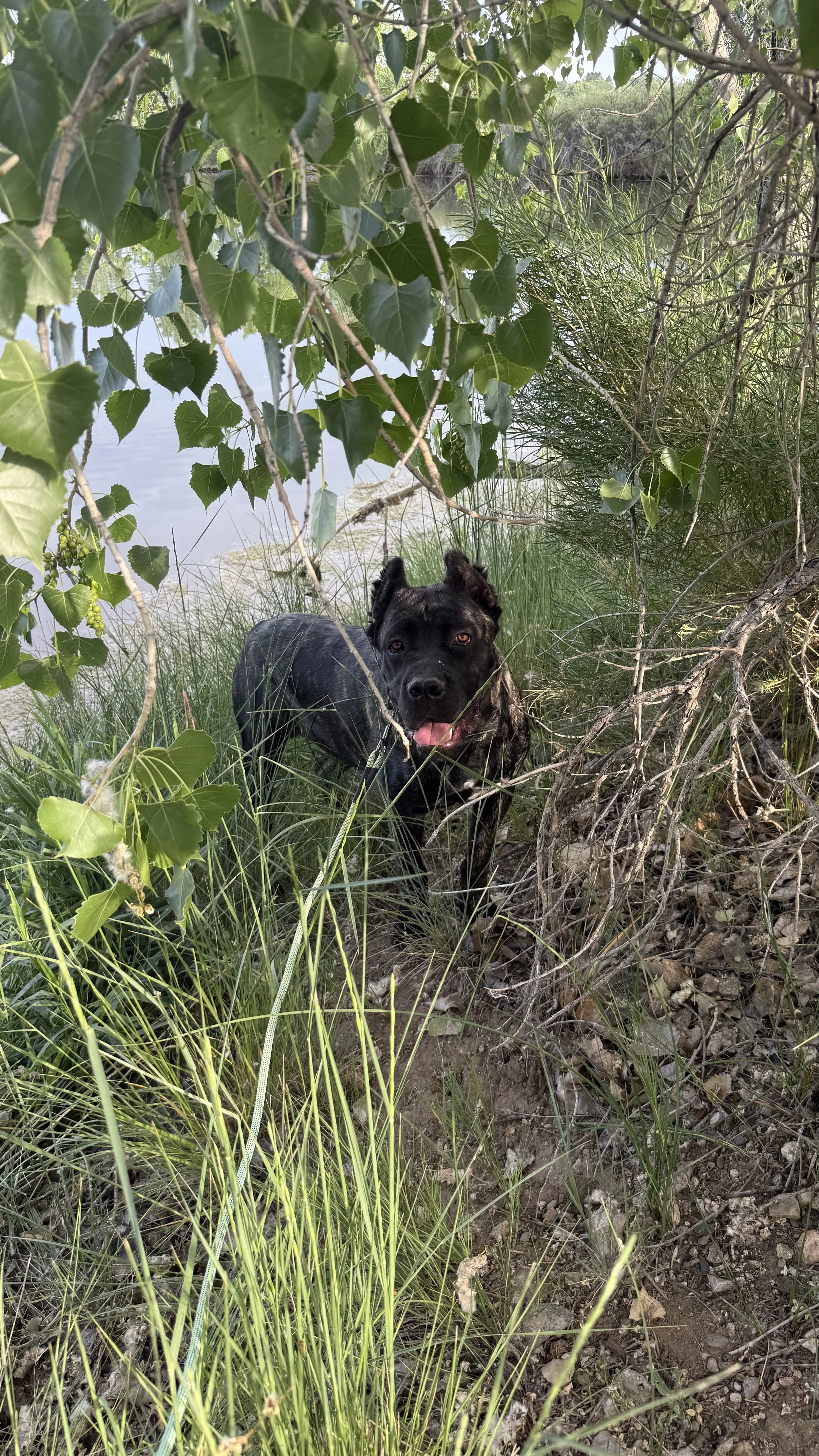 IMG_0453.jpeg