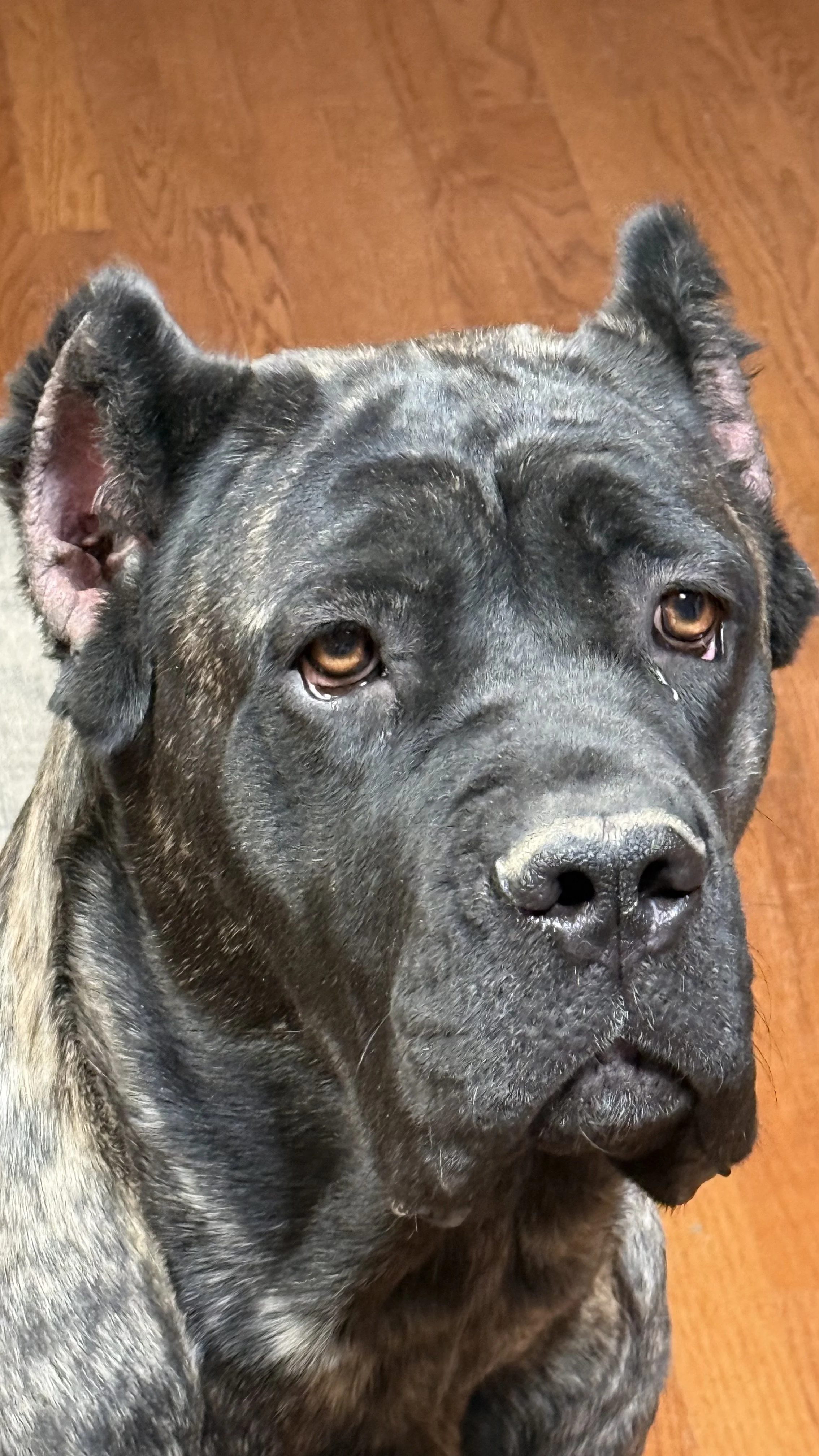 IMG_2940.jpeg