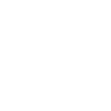 A kiwi bird illustration with the text 'NZ MADE' curved below it.