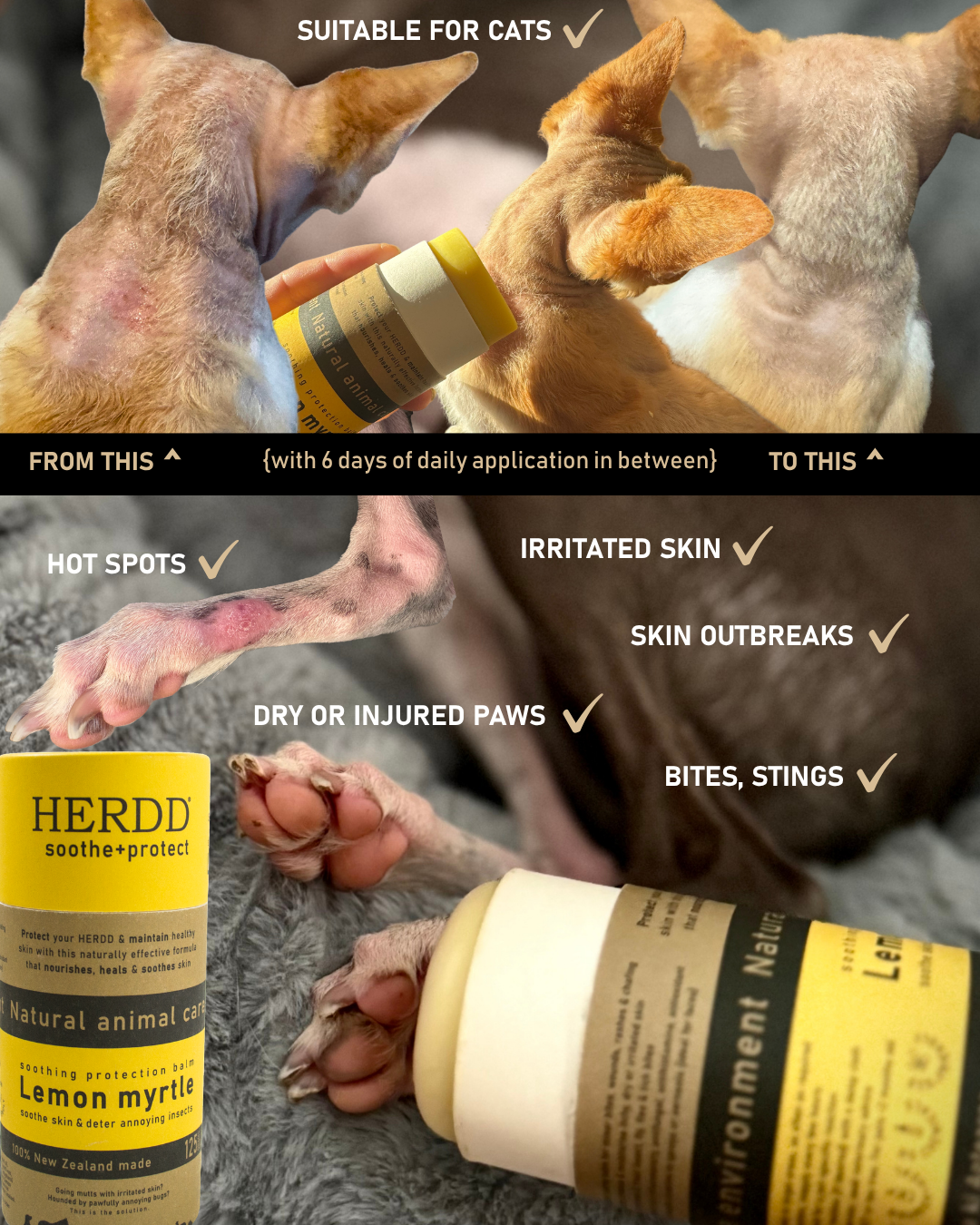 HERDD soothe skin and paws.png