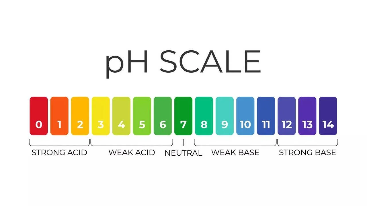 pH scale.jfif