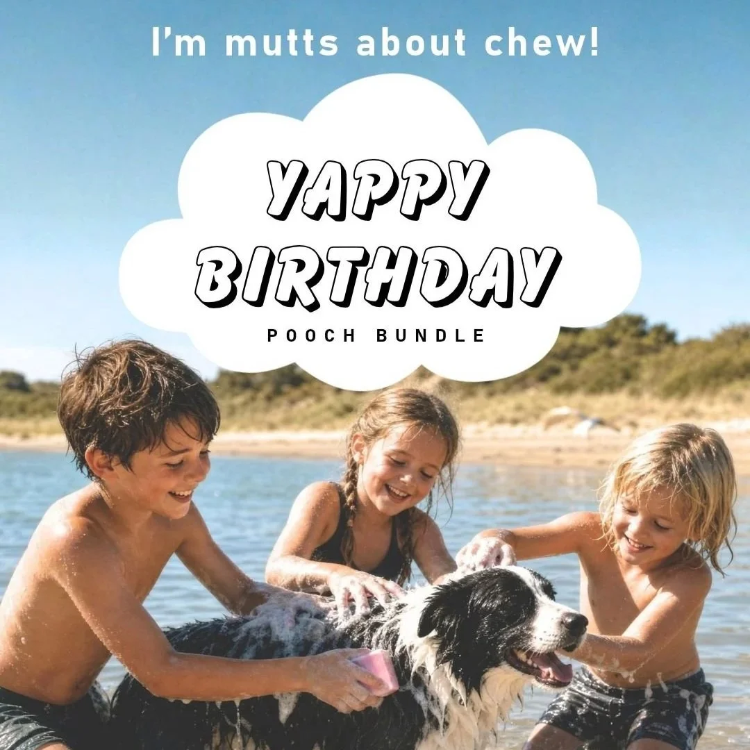 HERDD+Yappy+Birthday+pooch+bundle.jpg
