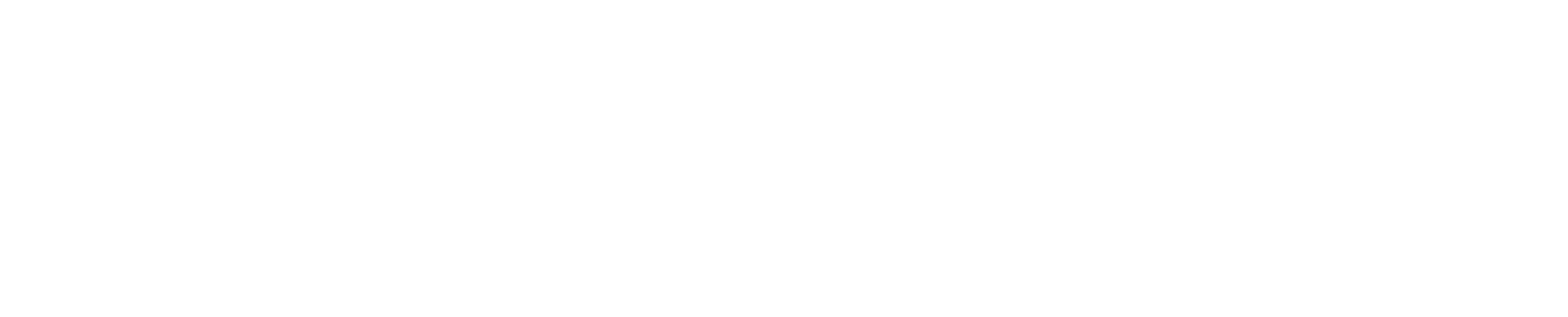 Series of icons with text: 'Made in', a duck, '100%', a perfume bottle, 'Effective', a spray bottle with a leaf, 'Chemical Free', a local spray bottle, 'Eco Plastic', crossed out plastic bottle.