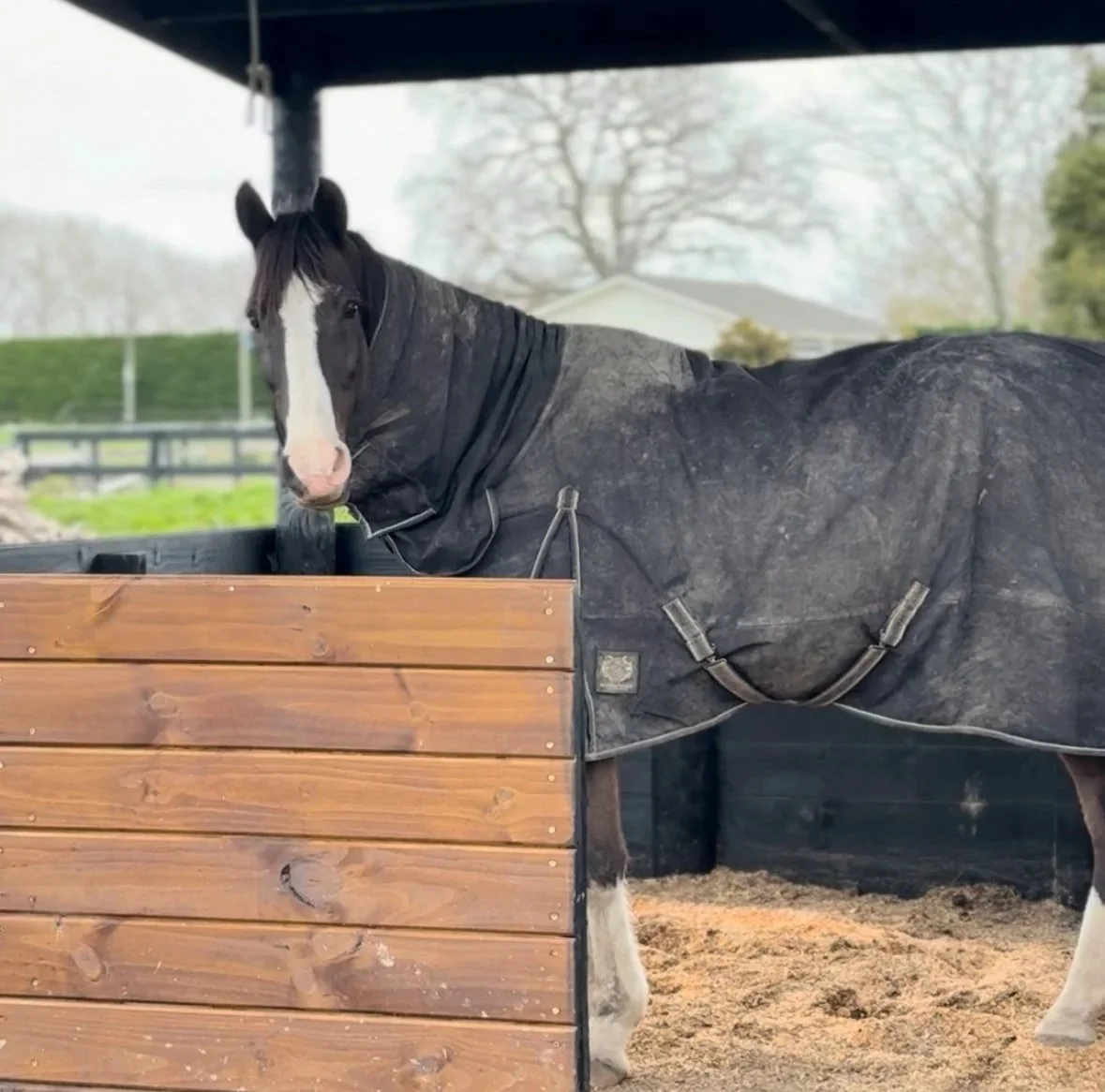 HERDD bedding horse pellet bedding.jpg