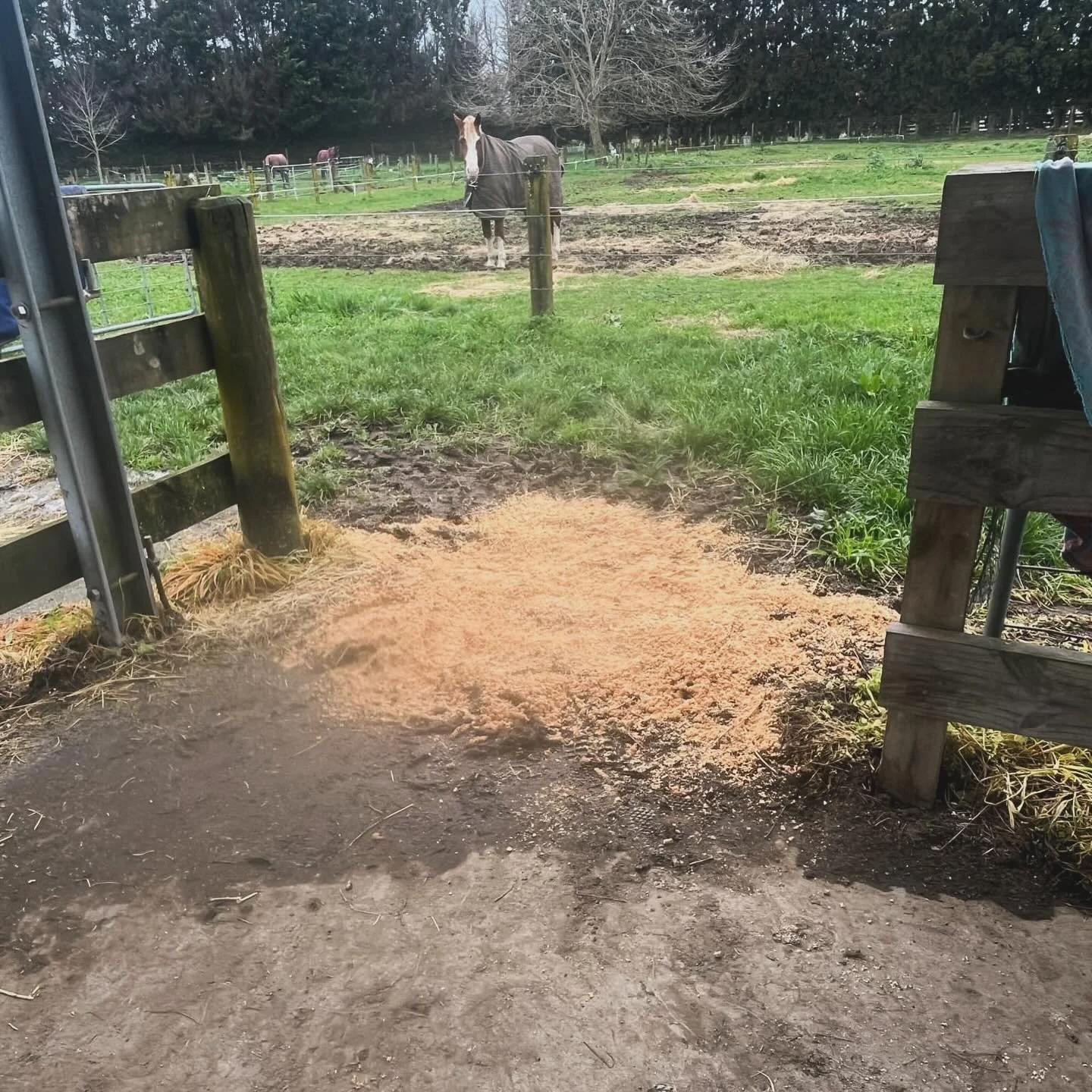HERDD hacks bedding mud damp absorb
