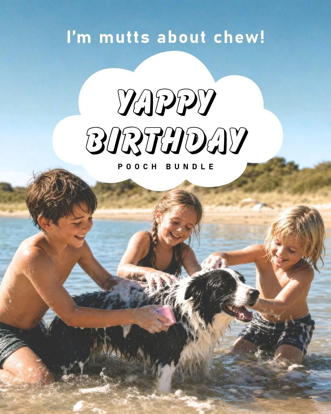 Yappy Birthday Pooch Bundle 🎁