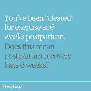So You Were Cleared For Exercise At 6 Weeks Postpartum... Now What