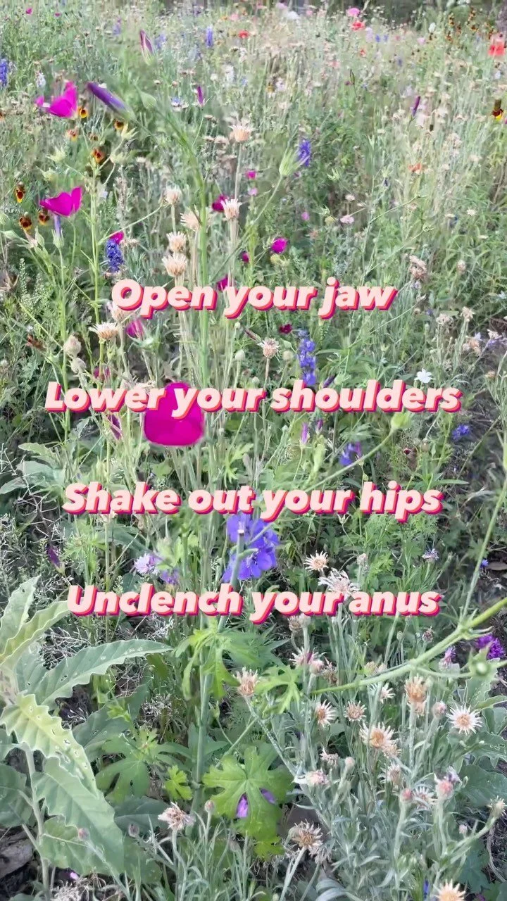 CSection Scar Desensitization — Lady Bird PT