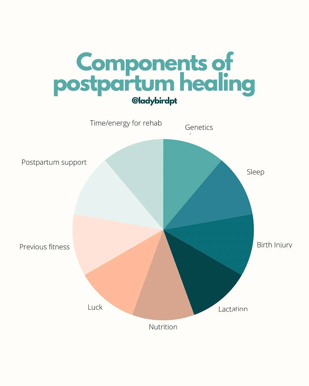 Ever wonder why your postpartum recovery doesn&rsquo;t look like your friend&rsquo;s or your favorite influencer&rsquo;s?

Because recovery is messy and influenced by a LOT :
🧬 Genetics (yes, even your collagen type)
🤰 Labor &amp; birth factors (sp