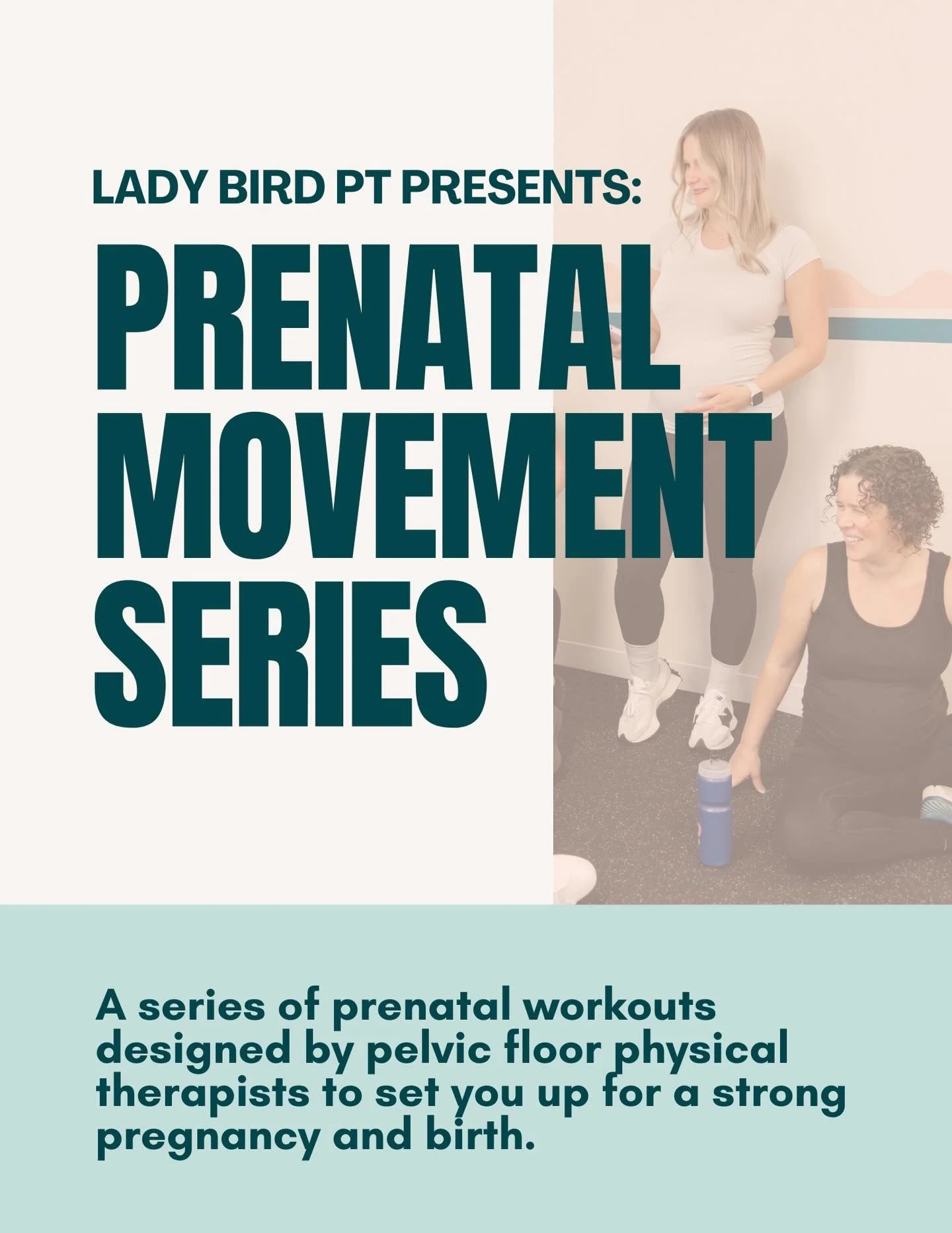 After such great feedback from our Spring and Fall movement series, we&rsquo;re excited to make our Prenatal Movement Series a ✨thing✨ but with smaller group classes allowing for more attention from our PTs!

@rebeccamaidansky and @jessicachastka_dpt
