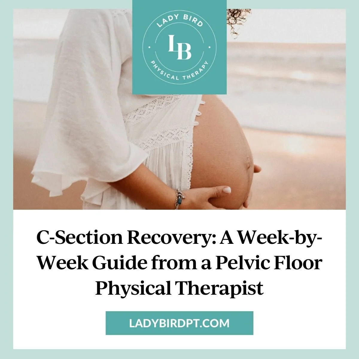 What&rsquo;s new on the blog!! Our blog covers your common pelvic health questions in long form. Here are a few of our most recent posts, but head to www.ladybirdpt.com/blog to learn more!

#pelvichealth #pelvicfloorpt #austintx