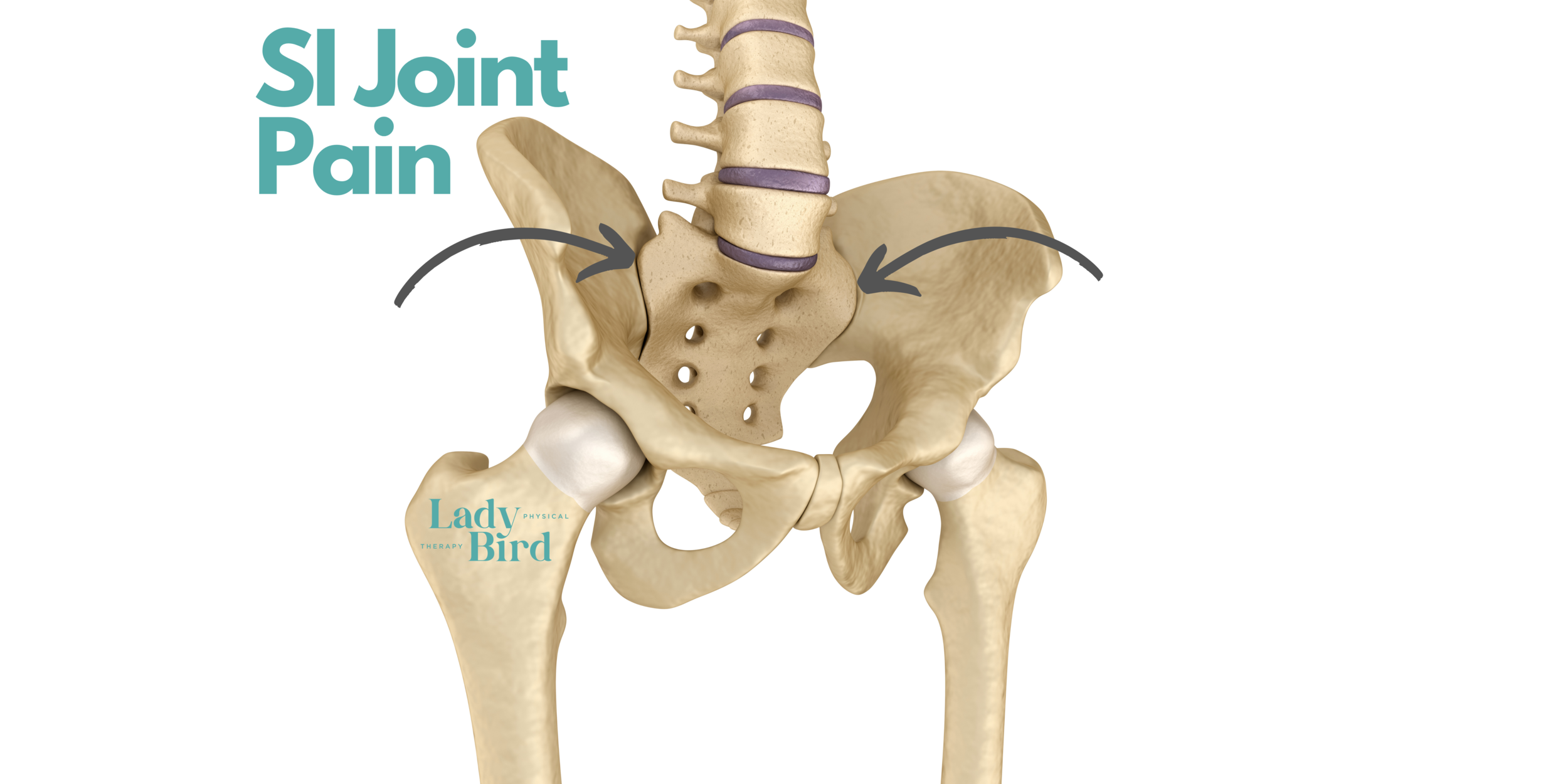 8 Ways To Manage Sacroiliac Joint Pain During Pregnancy Lady Bird PT 8 Ways To Manage Sacroiliac Joint Pain During Pregnancy Lady Bird PT