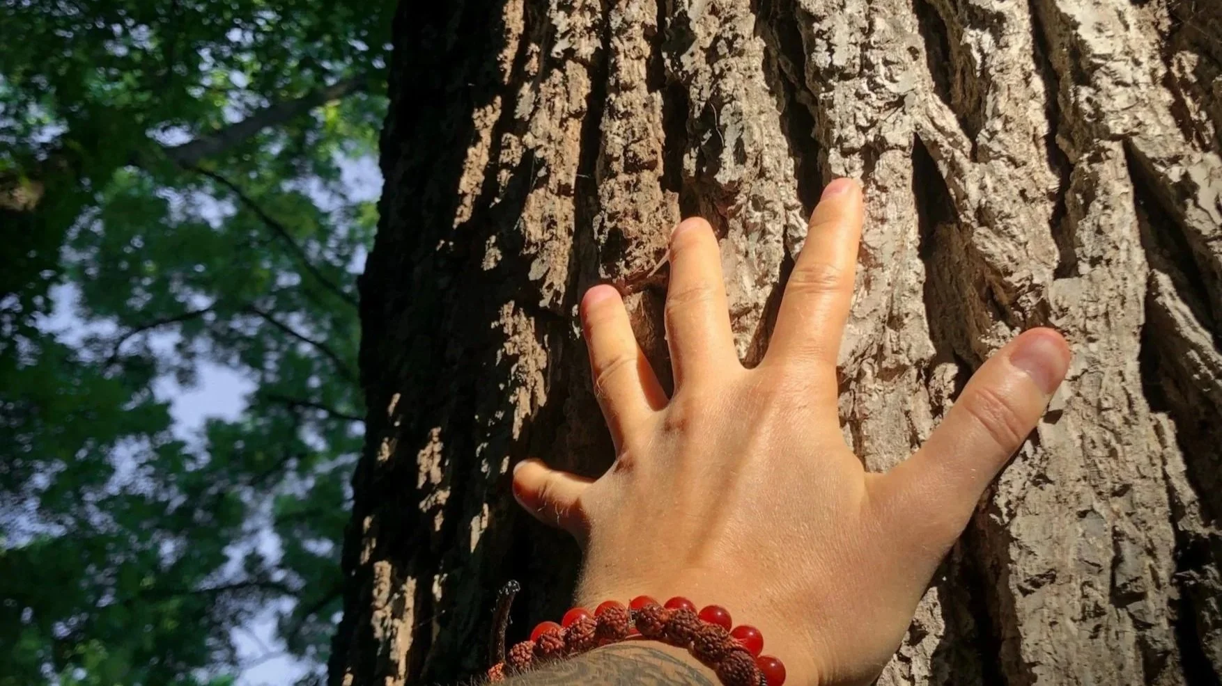 Grounding: Earth vs. Energy Channel?
