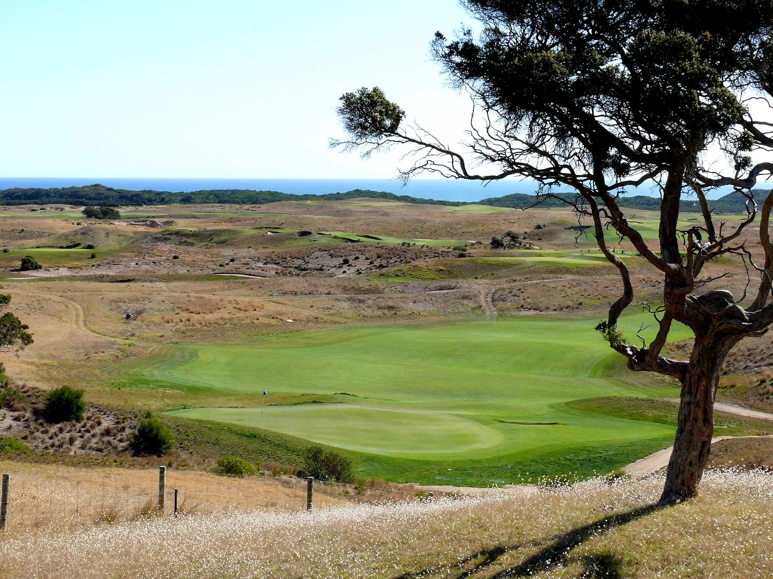 Moonah 15 Afternoon.jpg