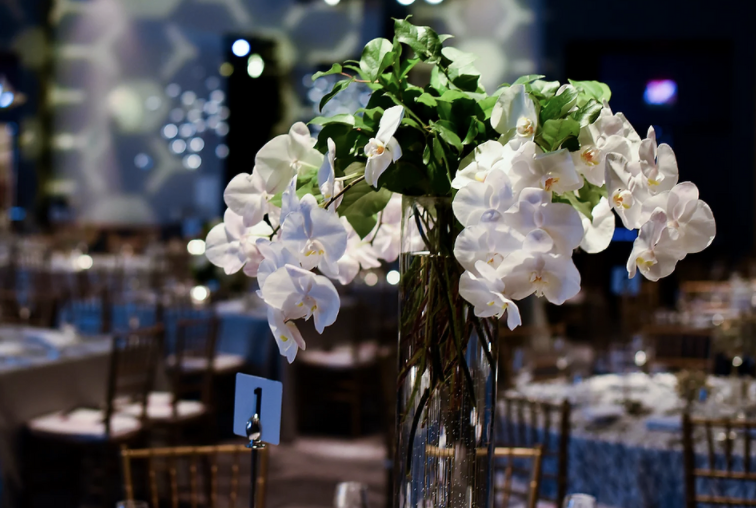 Screen Shot 2021-06-07 at 9.23.55 PM.png