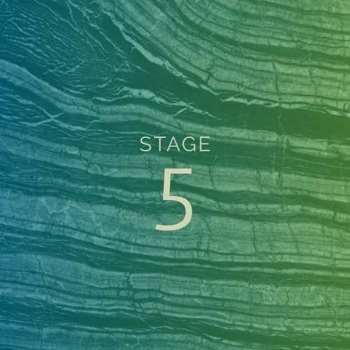 Elevate-process-stage5.jpg