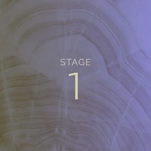 Elevate-process-stage1.jpg