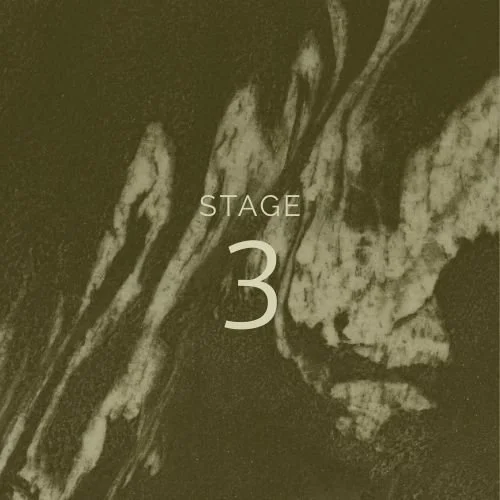 Elevate-process-stage3.jpg