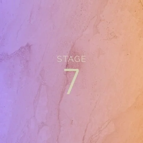 Elevate-process-stage7.jpg